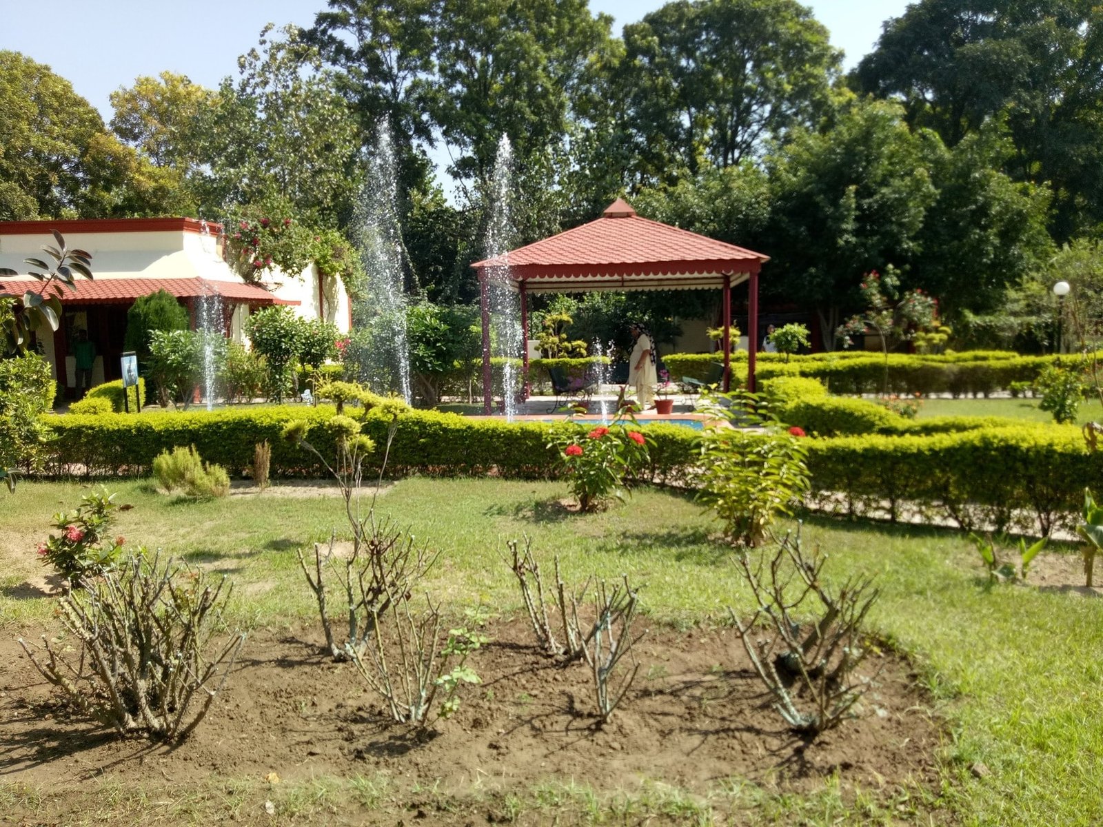 Garden and Green Spaces